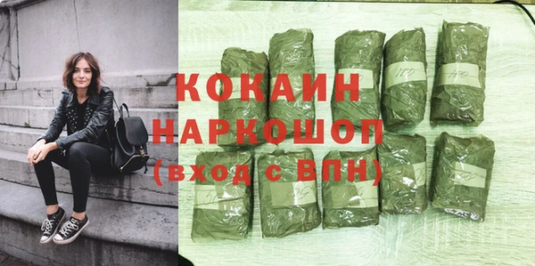ешки Алексин