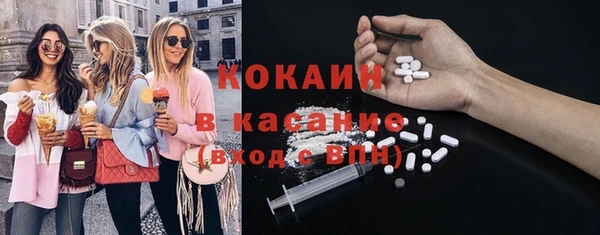 ешки Алексин